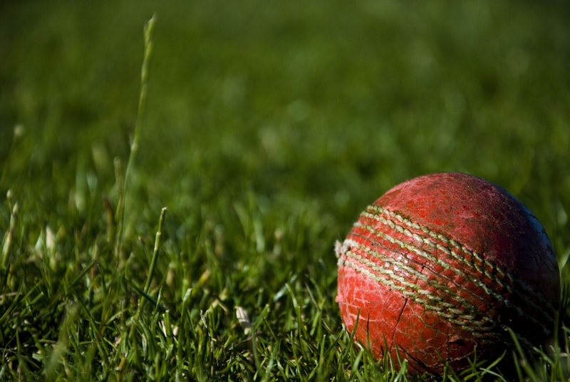 Cricket bats, leather balls, protective equipment, badminton and selected sports accessories